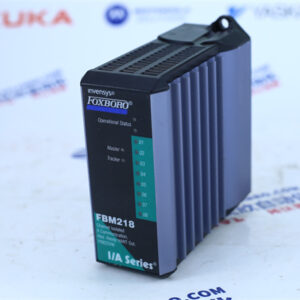 FOXBORO   FBM218