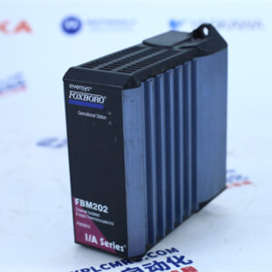 FOXBORO   FBM202