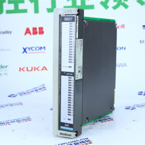 Schneider  AS-B809-016