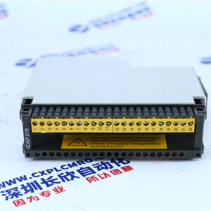 Schneider   AS-BDAP-218