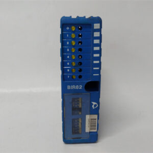 NELESAUTOMATION A413285 BIR82