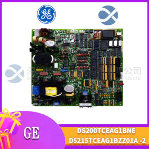 GE DS200TCEAG1BNE DS215TCEAG1BZZ01A