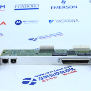 NaturalMicroSystemsNMS   CG6500C 8E18T1