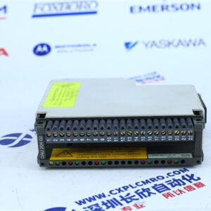 Schneider  AS-BDAU-204