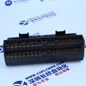 GE  IC670CHS101A