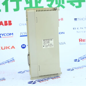 YOKOGAWA CP-317AI-01