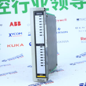 Schneider  AS-B809-016