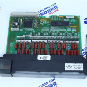 GE  IC697MDL250
