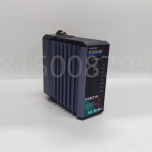 FOXBORO FBM216 P0917TN