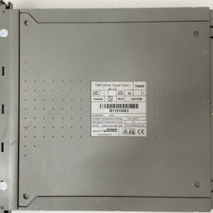 ICS TRIPLEX T8403