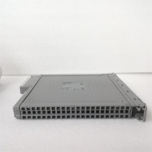 ICS TRIPLEX T8461C