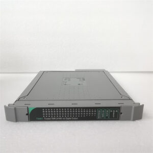 ICS TRIPLEX T8461C
