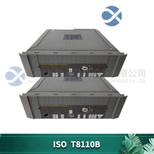 ICS TRIPLEX T8110B