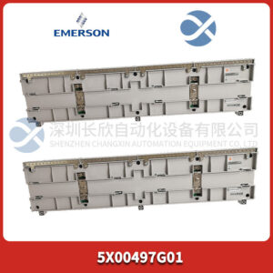 5X00497G01 EMERSON