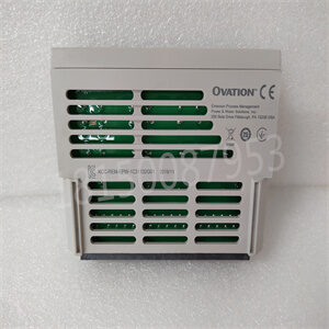 1C31132G01   EMERSON