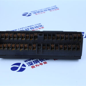 GE+  IC670CHS001E