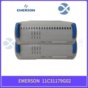 EMERSON + 1C31179G02