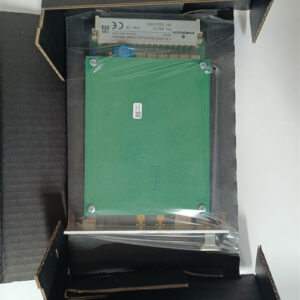 ICS TRIPLEX	T8110B  Module