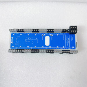 ICS TRIPLEX(ROCKWELL)	T8451 Industrial control module