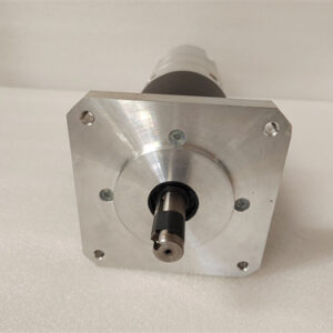 GE	DS200TCPDG2B Digital controller module