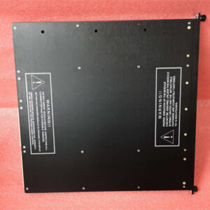 GE IC670ALG310 Analog input module