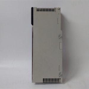 FOXBORO RH916XZ Analog input/output module