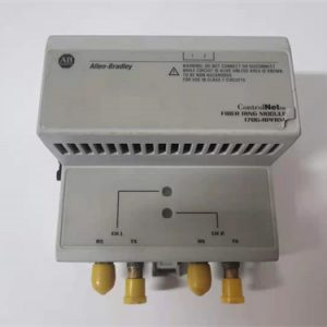 SCHNEIDER BMXAMI0800 Input module