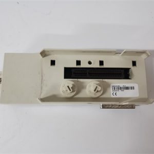 Emerson	VE4005S2B1 Output module