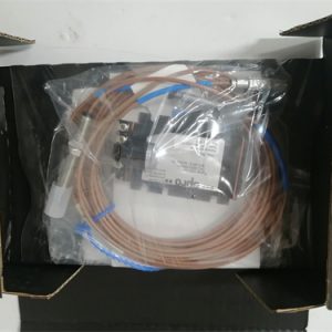 DELTAV CE4050S2K1C0 Control module