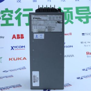 A-B	1786-RG6 Analog output module