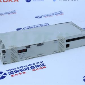 EMERSON HD22010-3 Analog output module