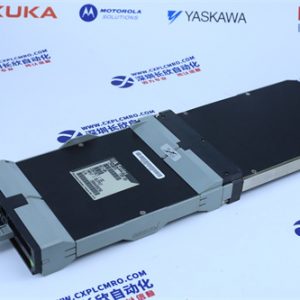 EMERSON VE4003S2B1 Analog output module