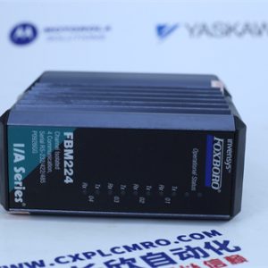 Foxboro P0917MG Analog input