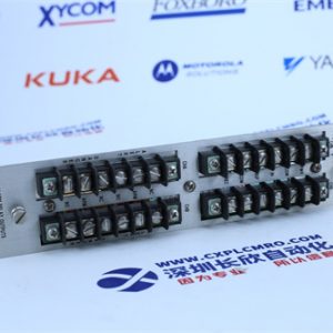 SANYO DENKI	P30B04010PCKST Digital sensor