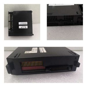 GE	IC200CHS022 Input module