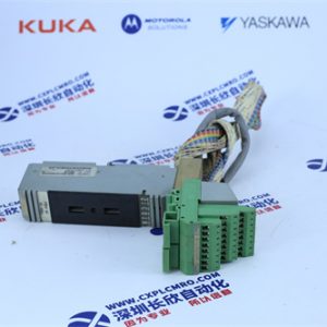 yaskawa	SGMAH-A5B1A-YB11 Analog input module