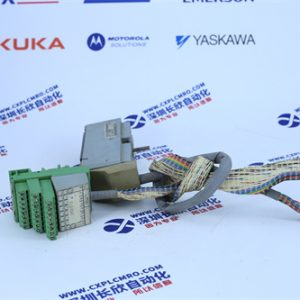 yaskawa	SGMAH-01A1A2S Analog input module.