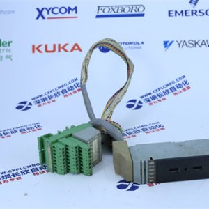 yaskawa	SGMAH-A5B1A-YB21 Analog input module