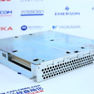 ICS TRIPLEX T8110B module
