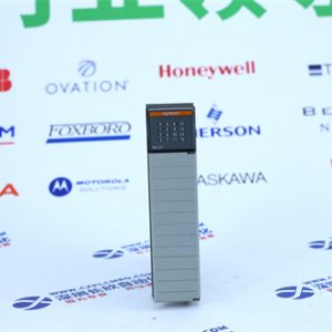 ICS TRIPLEX T8461C Power module