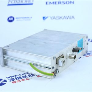 ICS TRIPLEX	T8461C Analog output module