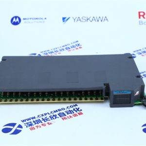 GE	IS220PAICH1B Analog input module