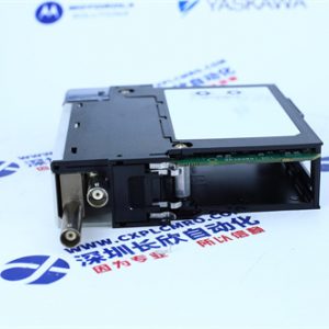 ICS TRIPLEX	T8431 Input module