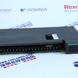 ICS TRIPLEX T8461 Output module