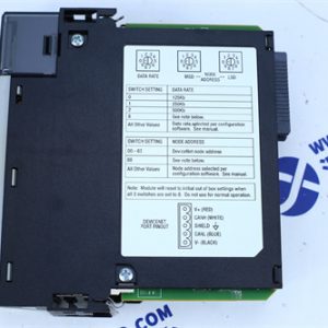 BASLER ELECTRIC	DECS-200-1L Output module