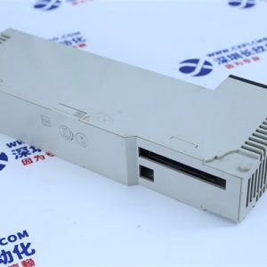 ICS TRIPLEX	T8110B Control module