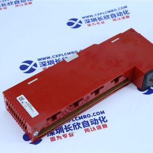 TRICONEX 3351 Safely shut off the module