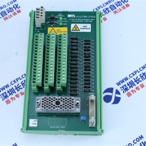 GE	IC695CPE310 CPU module