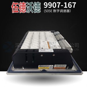 ABB	DSSR122 48990001-NK Digital input/output module