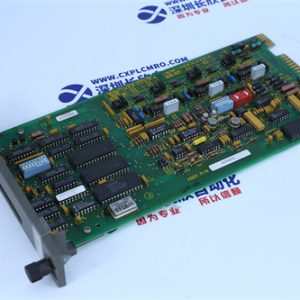 TRICONEX	PM6301A Key component